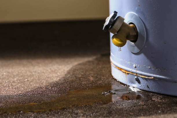 Best Water damage restoration near me  in Centreville, MI