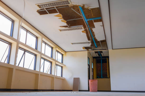 Best Water damage contractors near me  in Centreville, MI
