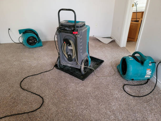 Water damage restoration mold remediation in MI