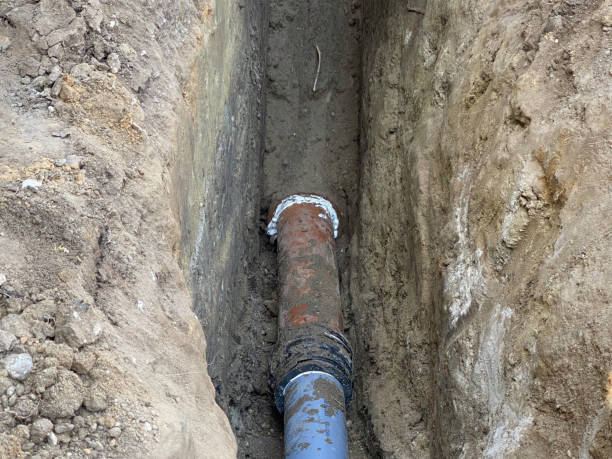 Best Flood damage cleanup  in Centreville, MI