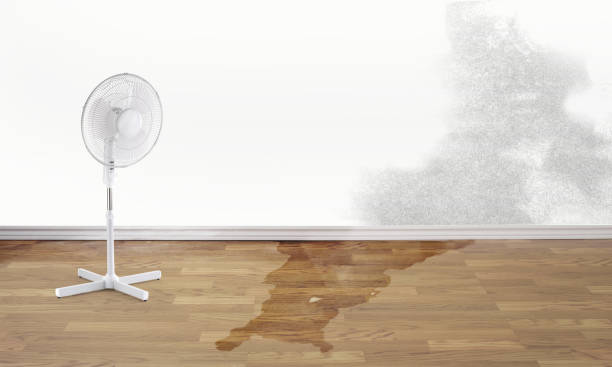Best Commercial water damage restoration  in Centreville, MI