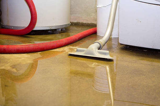 Best 24/7 water damage repair  in Centreville, MI