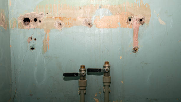  Centreville, MI Water damage restoration Pros