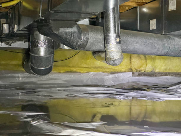 Carpet water damage restoration in MI