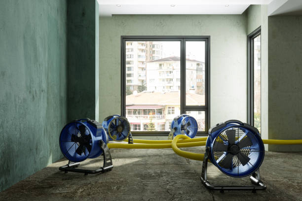 Best Water damage repair service  in Centreville, MI