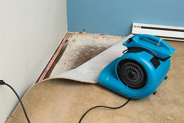Best 24-hour water damage restoration  in Centreville, MI